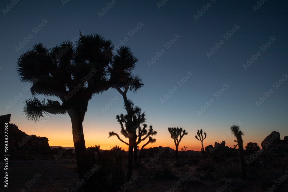 very late sunset almost night in joshua tree national park very late sunset almost night in joshua tree national park