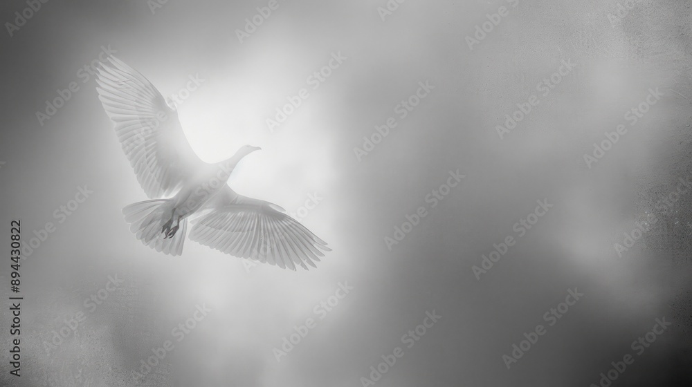 Naklejka premium White dove in flight against foggy, grey skies.
