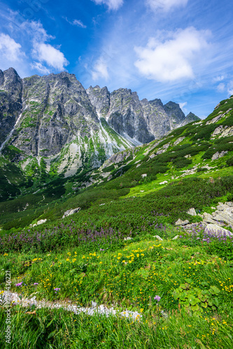 Summer landscape of the Tatra Mountains. The Mengusovska Valley, Slovakia. photo