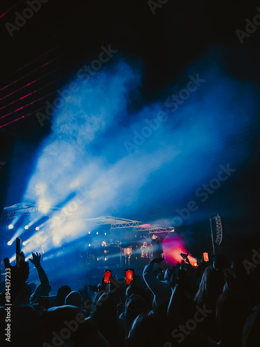crowd at the concert