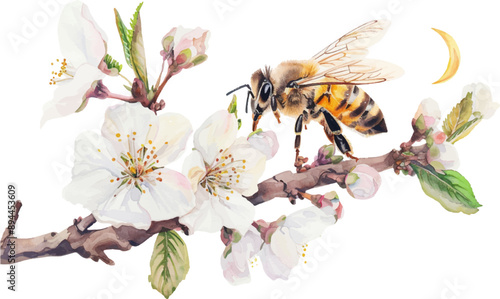 Illustration of a bee on a white flower