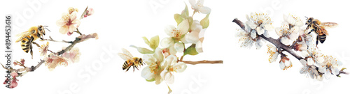 Illustration of a bee on a white flower