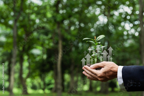 Businessmen holding the green ball whit ESG, net zero, eco, co2, carbon, human hand holding green globe orb with growing tree save our planet, world environment day, earth day and climate change.