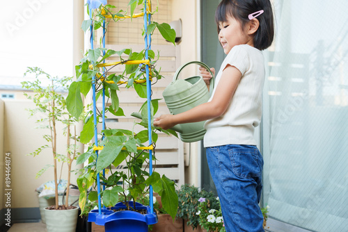 夏休みに朝顔に水やりする小学生 photo