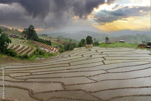 Beautiful landscape nature green Terraced Rice Field at Pa Pong Pieng in Mae Chaem, Chiang Mai, Thailand. photo