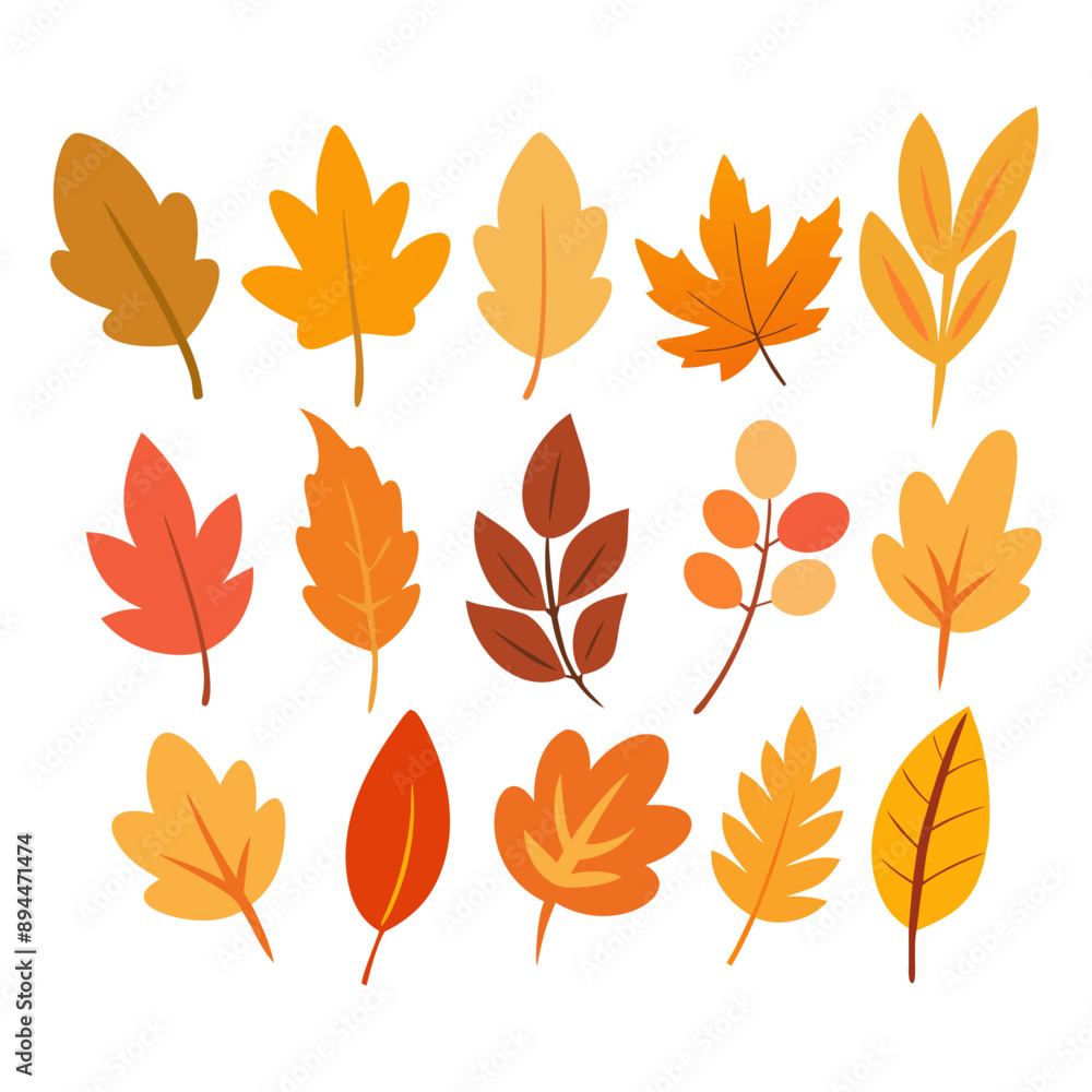 Autumn leaves set for Fall season creative graphic design. Vector illustration. Autumn leaves set for Fall season creative graphic design. Vector illustration.