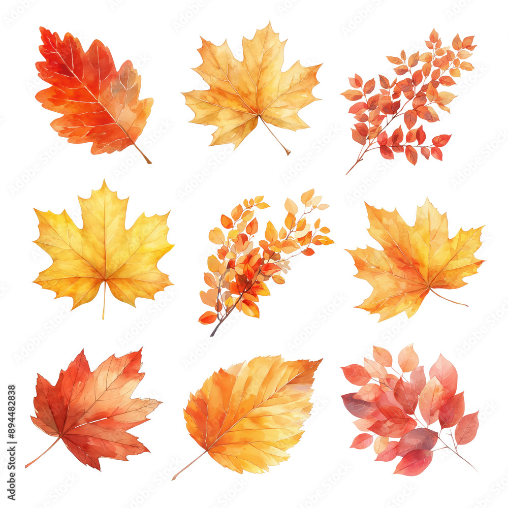 Obraz premium PNG Autumn leaf watercolor set, transparent background