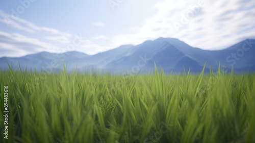 Lush green field with mountains in the background