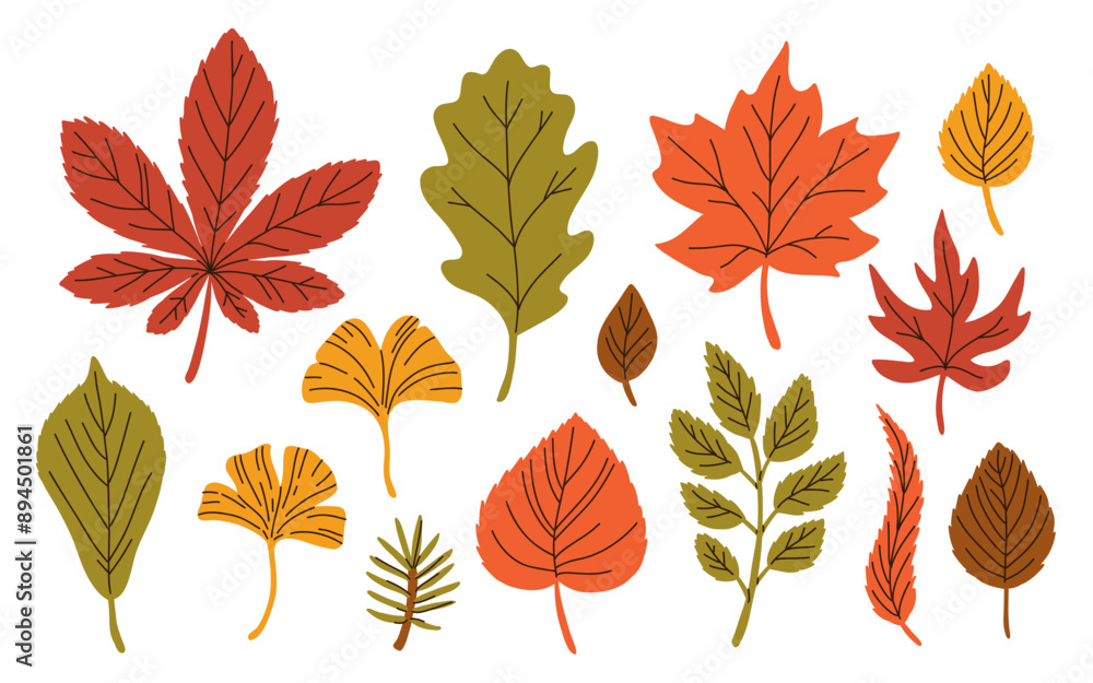 Fototapeta premium Vector collection of cartoon autumn leaves. Cute flat illustration of red, yellow, orange and green fallen tree leaves. Maple, oak, ginkgo, birch tree and others.