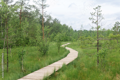 wooden walkway on educational nature trail in the protected fen landscape photo