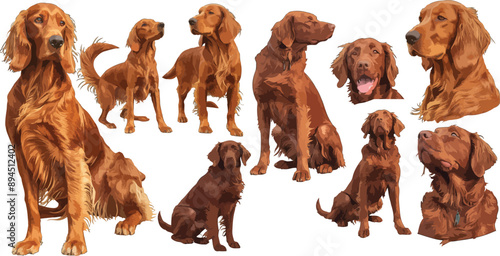 red setter watercolor clipart
