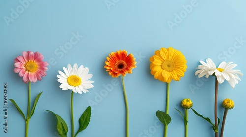 A row of flowers with different colors and sizes, including pink, white, and yellow. The flowers are arranged in a line, with some overlapping each other. Scene is cheerful and vibrant