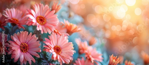 Pink Flowers in Soft Light