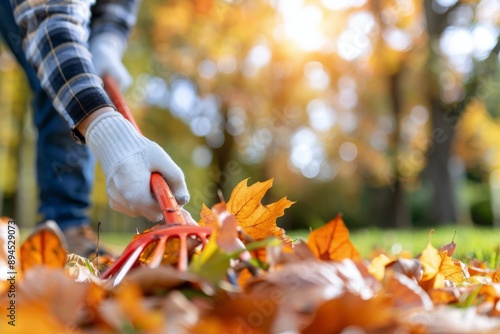 Raking Autumn Leaves in a Park