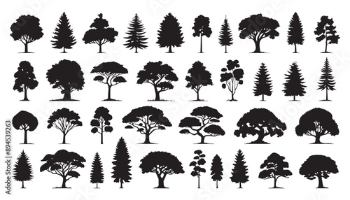 Assorted Silhouettes of Various Tree Species on White Background