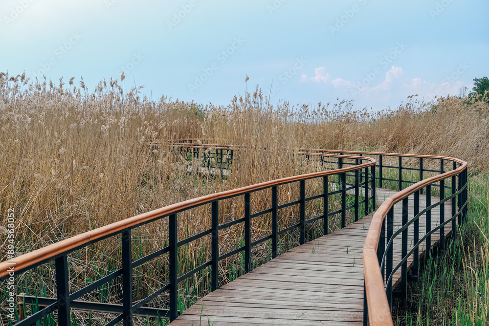 Fototapeta premium Eco path wooden walkway in Lukomorie, ecological trail path - route walkways laid in the forest, in St. Petersburg, Russia.
