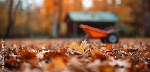 Fallen Leaves in Autumn Yard