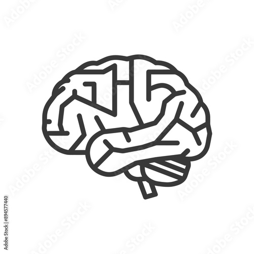 The human brain a complex and fascinating organ