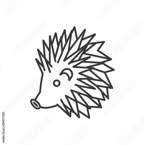 cute little hedgehog with pointy quills