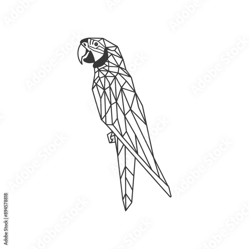 geometric parrot with a long slender tail