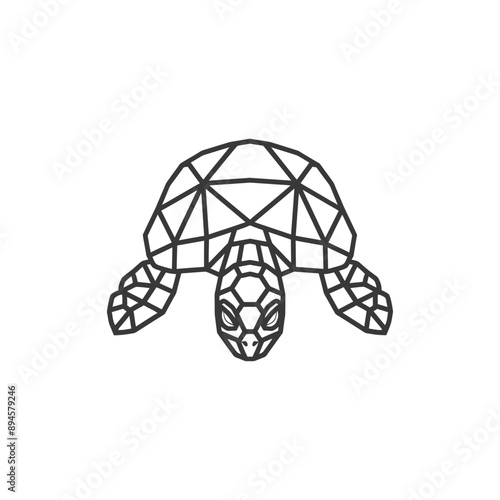geometric turtle with a determined look