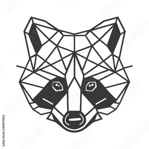 Geometrically designed raccoon face