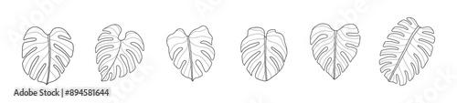 monstera leaf hand drawn outline set tropical leaves silhouette vector art graphic design summer green nature drawing line tree plant holiday organic natural minimal adult coloring book doodle sketch