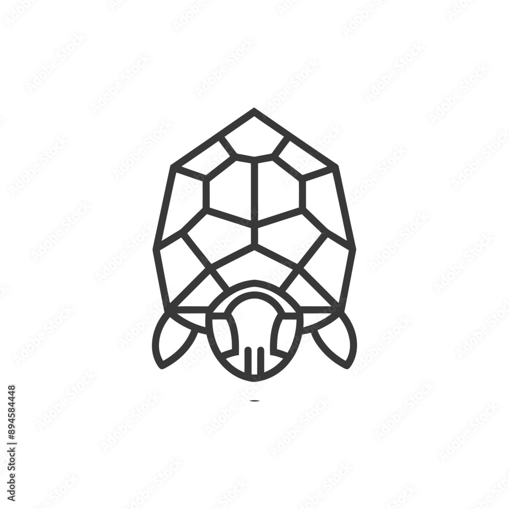 Obraz premium Geometric turtle shell design