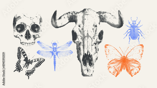 Contemporary Futuristic Bitmap Vector Set. Human and bull skulls, dragonflies, butterflies. Brutalism Y2K elements with stippling grunge effect in a trendy dotted style. Dither clip art shapes.