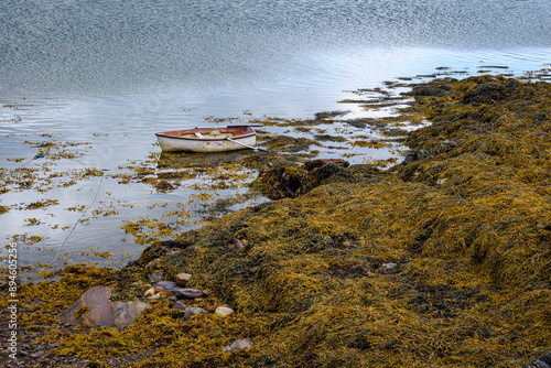 a rowboat moared next to seaweed covered rocks in Ireland