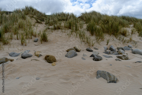rocks on a beach sand dune with dune grass