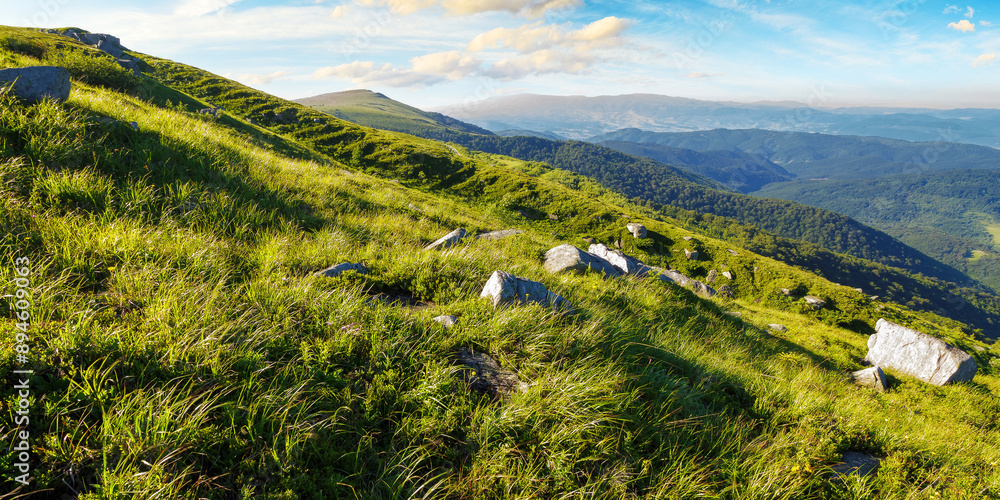 rolling hills of mountain smooth in summer. beautiful alpine landscape of ukraine in morning light. stones on the grassy slope