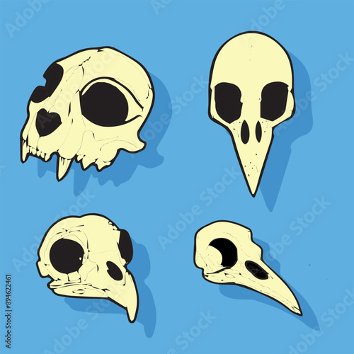 set teschi di animali