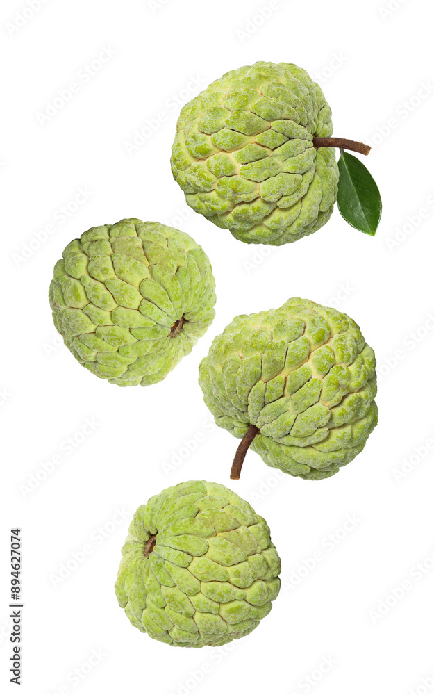 Fototapeta premium custard apple falling, cutout, full depth of field.