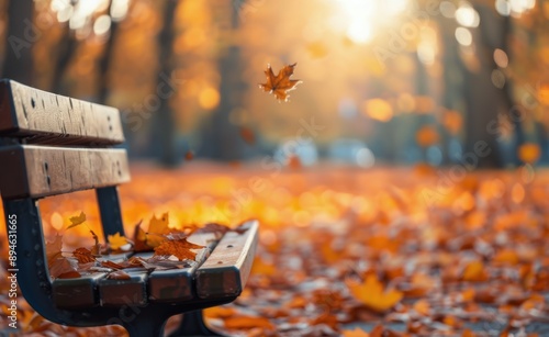 Empty Bench in Autumn Park
