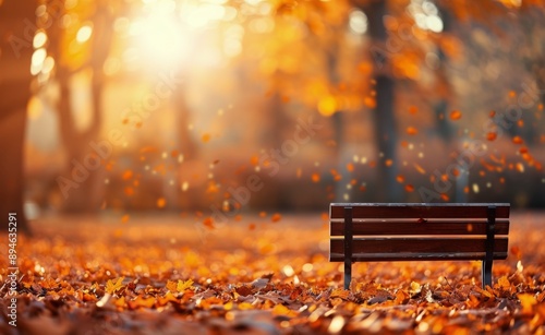 Empty Bench in Autumn Park