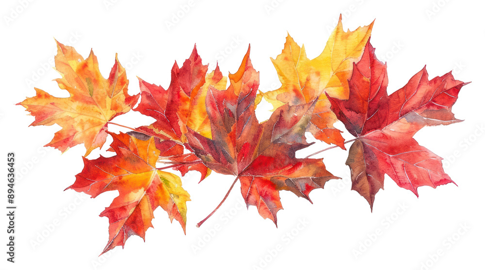 Fototapeta premium PNG Vibrant autumn maple leaves illustration