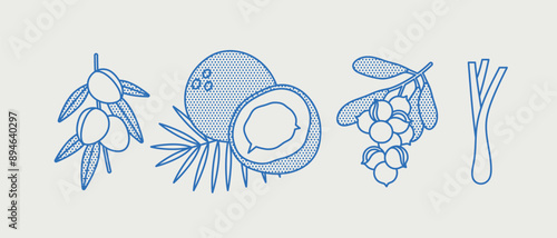 Hand-drawn vector set. Line art, retro. Plants and herbs for cosmetics. Almond, coconut, macadamia, lemongrass.