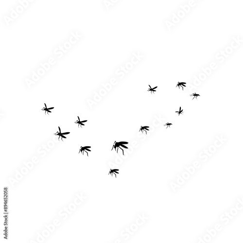 group flying mosquitoes