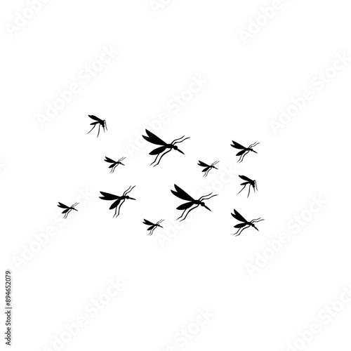 group flying mosquitoes
