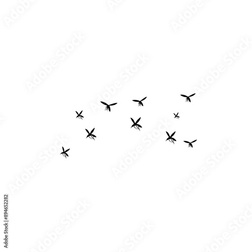 group flying mosquitoes