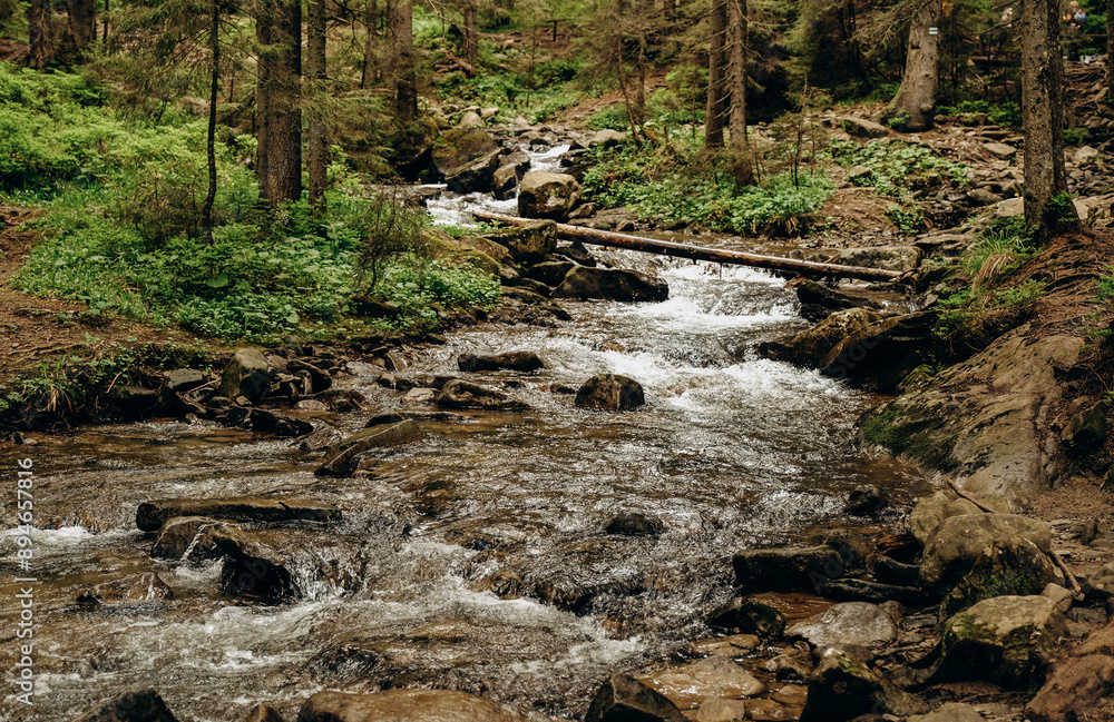 A clear mountain stream flows in a coniferous forest in spring. A clear mountain stream flows in a coniferous forest in spring.