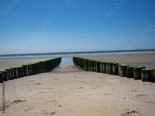 Strand duinen Nederland photo