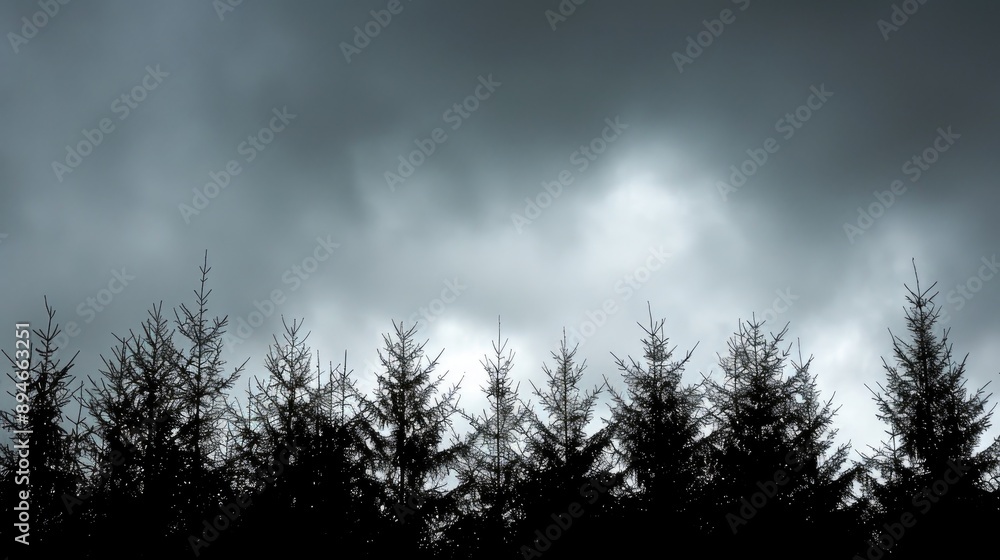 Fir tree silhouettes against cloudy sky in a minimal forest atmosphere Fir tree silhouettes against cloudy sky in a minimal forest atmosphere