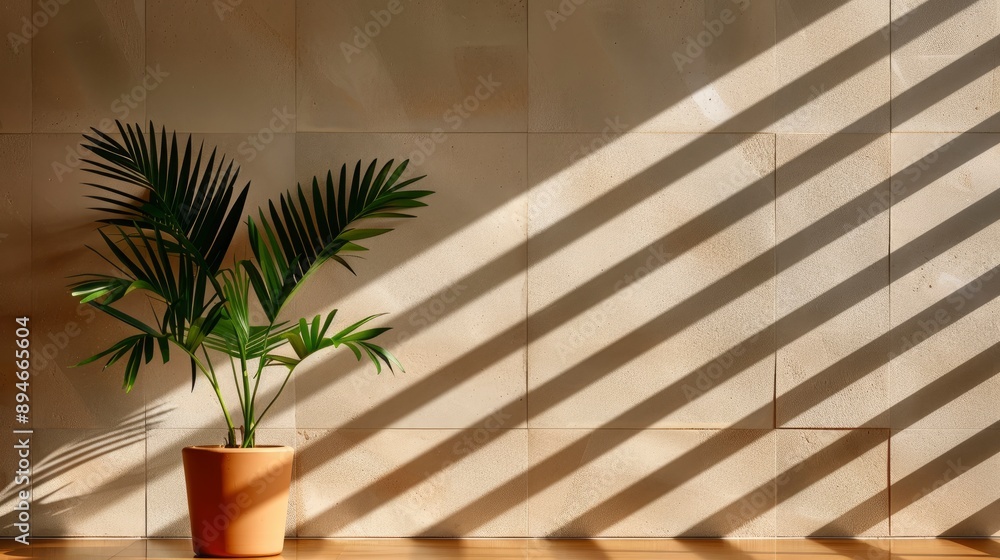 Light And Shadow On The Surface Of A Concrete And Glass Wall Of A Beige Rental Shophouse Light And Shadow On The Surface Of A Concrete And Glass Wall Of A Beige Rental Shophouse