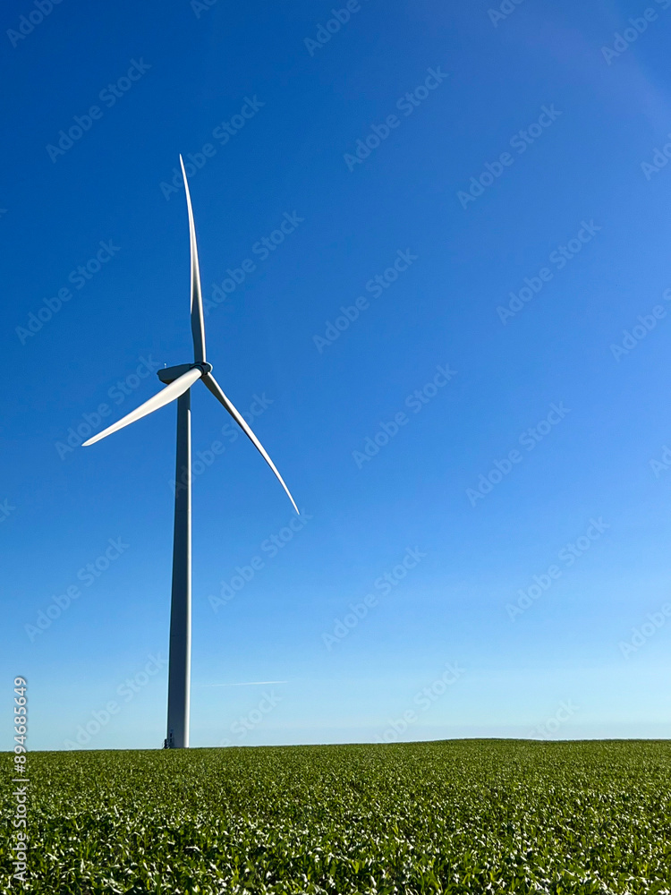 A modern windmill towers above a corn field A modern windmill towers above a corn field
