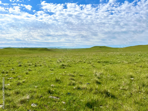 Native prairie landscape under a sunny sky in rural North Dakota with a butte in the distance