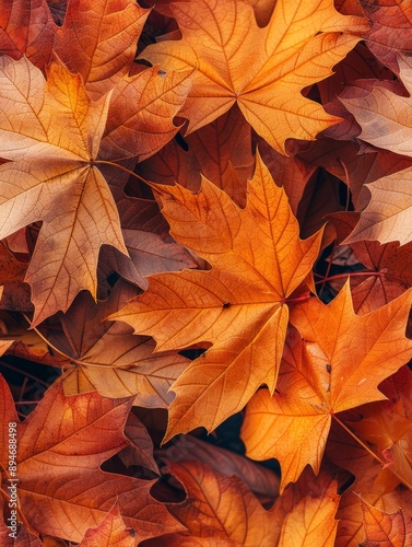 Wallpaper Mural Seamless Realistic Photo of Colorful Maple Leaves Torontodigital.ca