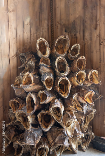 Stockfish heads photo