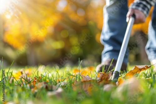 Person Raking Leaves in Autumn